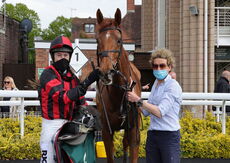 Warwickshire Handicap Hurdle