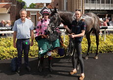 Coronation Handicap Hurdle