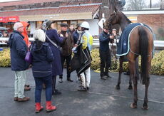 Fantastic Lady (James Bowen)
