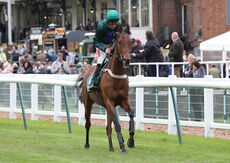 Warwick 26 May 2021