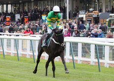 Harry Skelton Champion Jockey "NH" Novices Hurdle