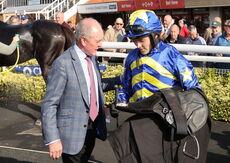 Harry Skelton Champion Jockey "NH" Novices Hurdle