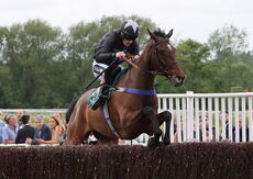 Racing TV Chandler Handicap Chase