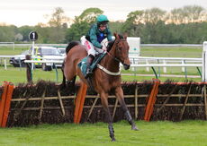 Harry Skelton Champion Jockey "NH" Novices Hurdle