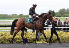 Racing TV Chandler Handicap Chase
