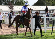Harry Skelton Champion Jockey "NH" Novices Hurdle