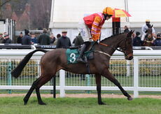 Ian Duckhams 70th Birthday Mares' NH Nov Hurdle