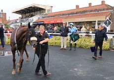 Colliers Business H'cap Chase.