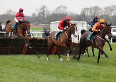 Ian Duckhams 70th Birthday Mares' NH Nov Hurdle