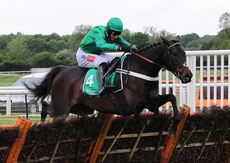 Gipsy De Choisel (Daryl Jacob)