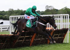 Gipsy De Choisel (Daryl Jacob)