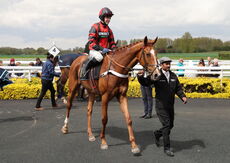 Percy's Wood (Harry Skelton)
