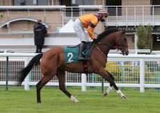 Racing TV .com Nov H'cap Hurdle.