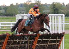 Racing TV .com Nov H'cap Hurdle.