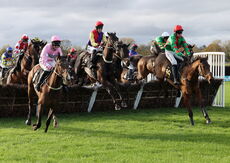 June Watts supporting Air Ambulance Mares' H'cap Hurdle.