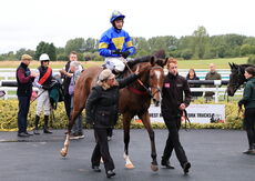 June Watts supporting Air Ambulance Mares' H'cap Hurdle.