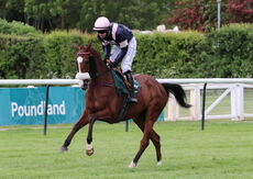 Wigley Group Carnival Handicap Chase.