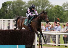 Wigley Group Carnival Handicap Chase.