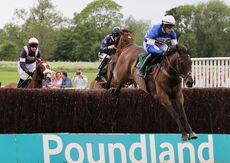 Wigley Group Carnival Handicap Chase.