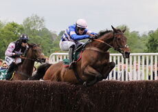 Wigley Group Carnival Handicap Chase.