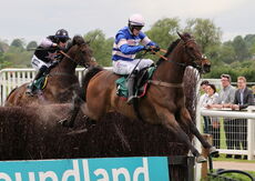 Wigley Group Carnival Handicap Chase.