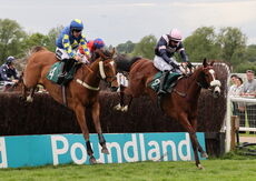 Wigley Group Carnival Handicap Chase.