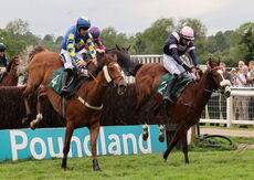 Wigley Group Carnival Handicap Chase.