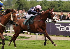 Leapaway (Tom O'Brien)