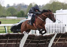 Racing TV H'cap Hurdle.
