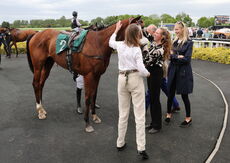Wigley Group Carnival Handicap Chase.