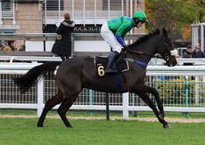 June Watts supporting Air Ambulance Mares' H'cap Hurdle.