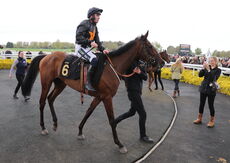 Wigley Group Carnival Handicap Chase.