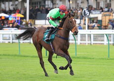 Dreamland Bedding Open 'NH' Flat Race.