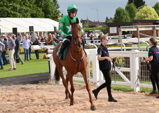 Logicor Warwickshire Handicap Hurdle
