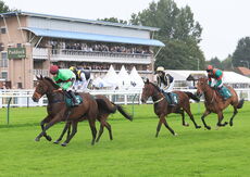 Dreamland Bedding Open 'NH' Flat Race.