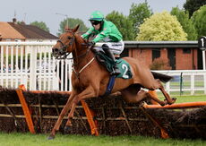 Apache Creek (Kevin Brogan)