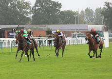 Dreamland Bedding Open 'NH' Flat Race.