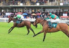 Dreamland Bedding Open 'NH' Flat Race.