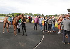 Logicor Warwickshire Handicap Hurdle