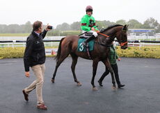 Dreamland Bedding Open 'NH' Flat Race.