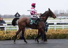 Racing TV H'cap Chase.