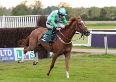 No Anxiety (Gavin Sheehan)