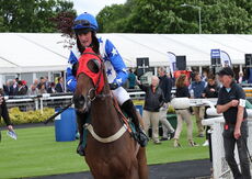 Wigley Property Raceday Amateur Jockeys' H'cap Hurdle