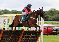Wigley Property Raceday Amateur Jockeys' H'cap Hurdle