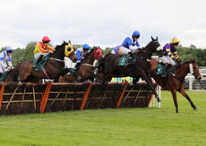Wigley Property Raceday Amateur Jockeys' H'cap Hurdle