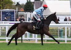 South West Syndicate Nov H'cap Chase.