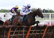Wigley Property Raceday Amateur Jockeys' H'cap Hurdle