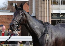 Willoughby De Broke Hunters' Chase.
