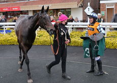 South West Syndicate Nov H'cap Chase.