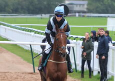 The Late Legend (Chloe Taylor)